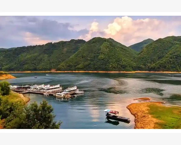 半夏厚朴汤：调理脾胃的良方