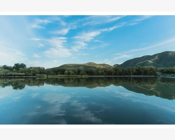普洱茶与脾胃湿热：温和调理的健康选择